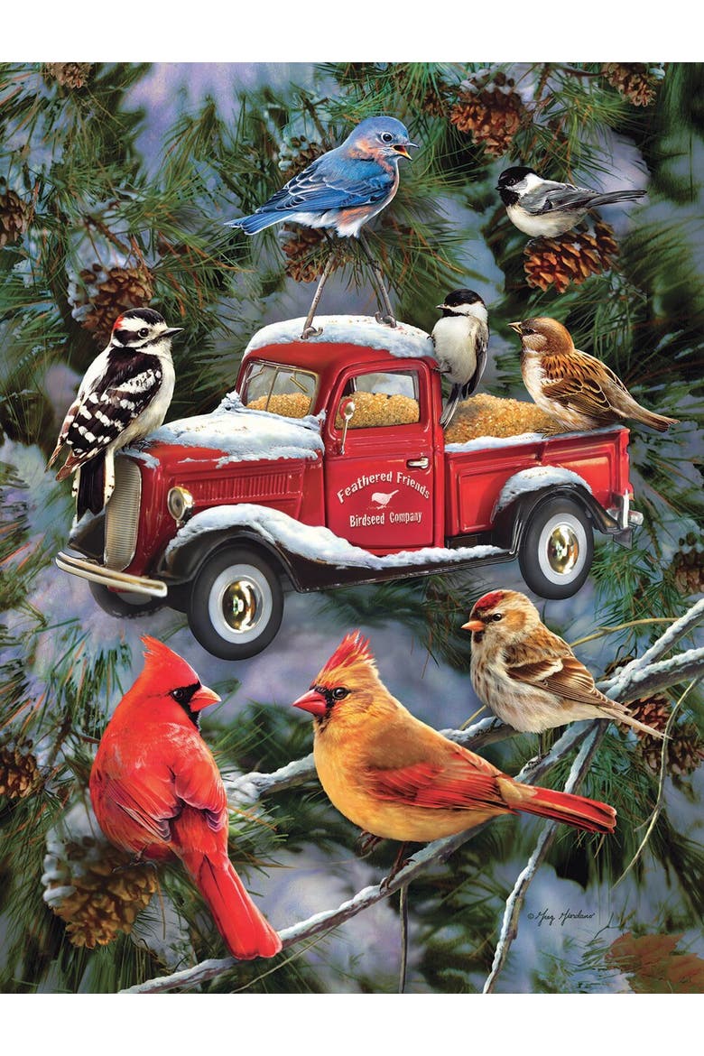Pickup Feeder 500 piece Jigsaw Puzzle for Adults, Alternate, color, Multicolor