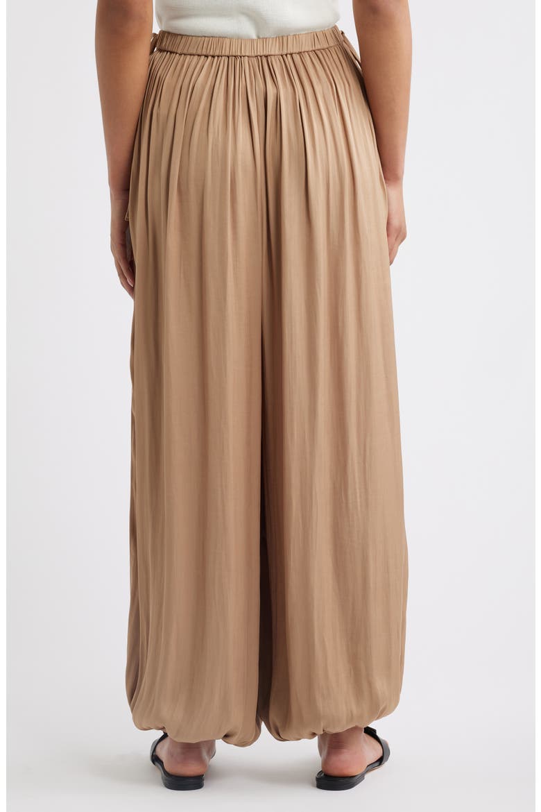 Eshe Balloon Pants, Alternate, color, PINTO BROWN