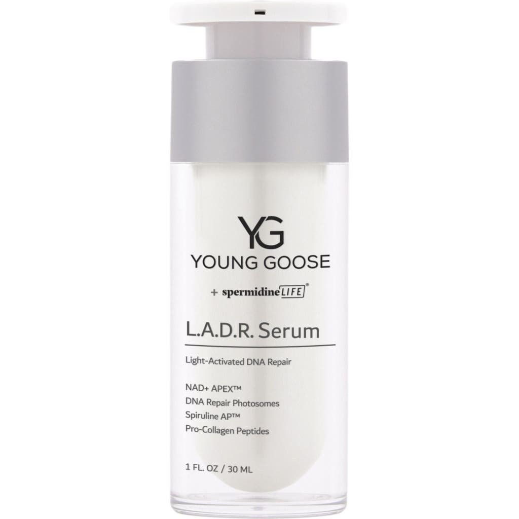 Young Goose L.A.D.R. Serum 30 ML in Transparent  product