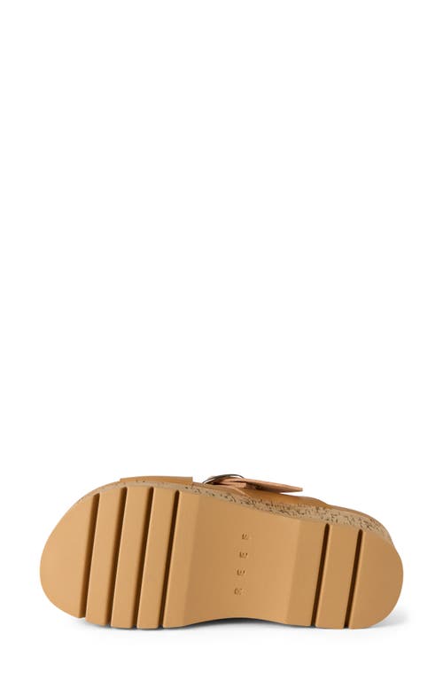 Reef Vista Higher Gia Platform Wedge Slide Sandal