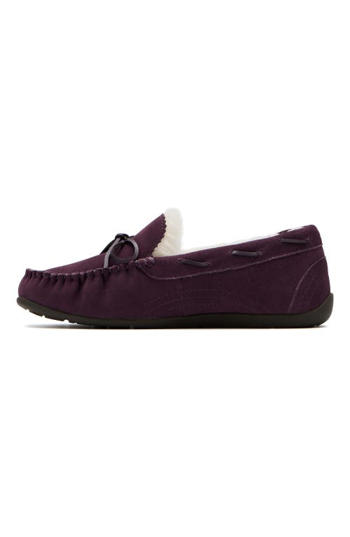 Abeo Amble Bow Slipper In Dark Purple - Regular
