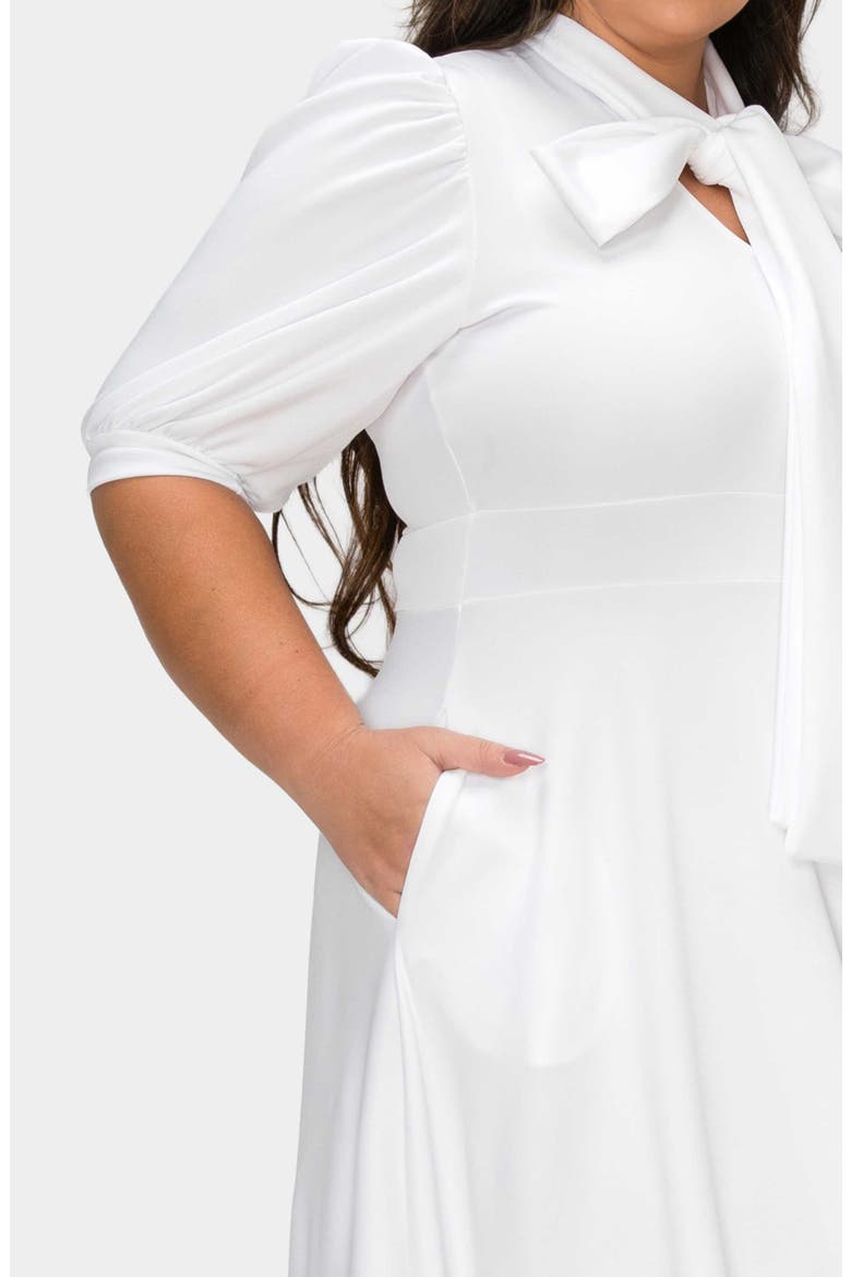 Farrah Donna Tie Neck Maxi Dress, Alternate, color, IVORY