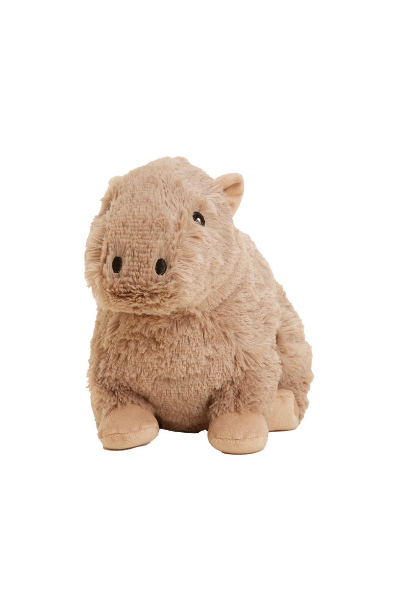 Warmies Capybara Plush Toy, Main, color, Medium Brown