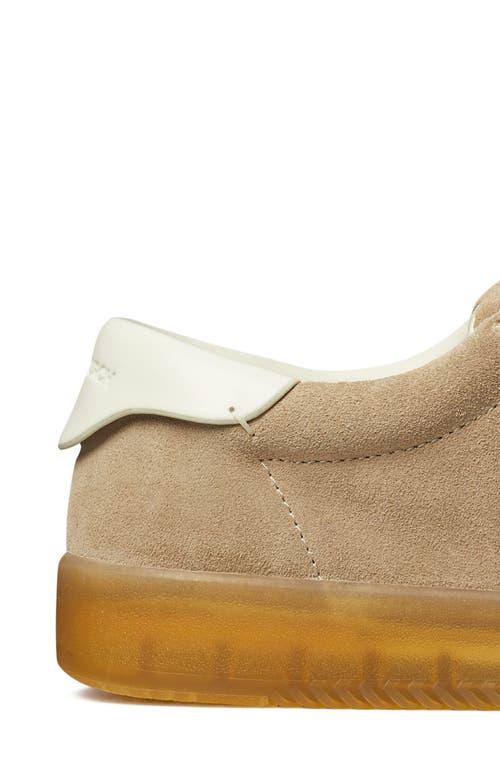 Tory Burch Phoenix Sneaker In Multi