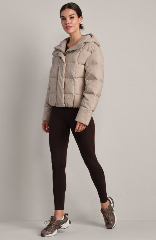 Rhone Powder 650 Fill Power Down Puffer Jacket In Brown