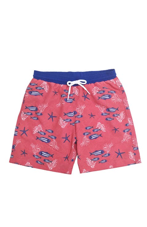 Kids' Underwater Life Quick-Dry Swim Trunks