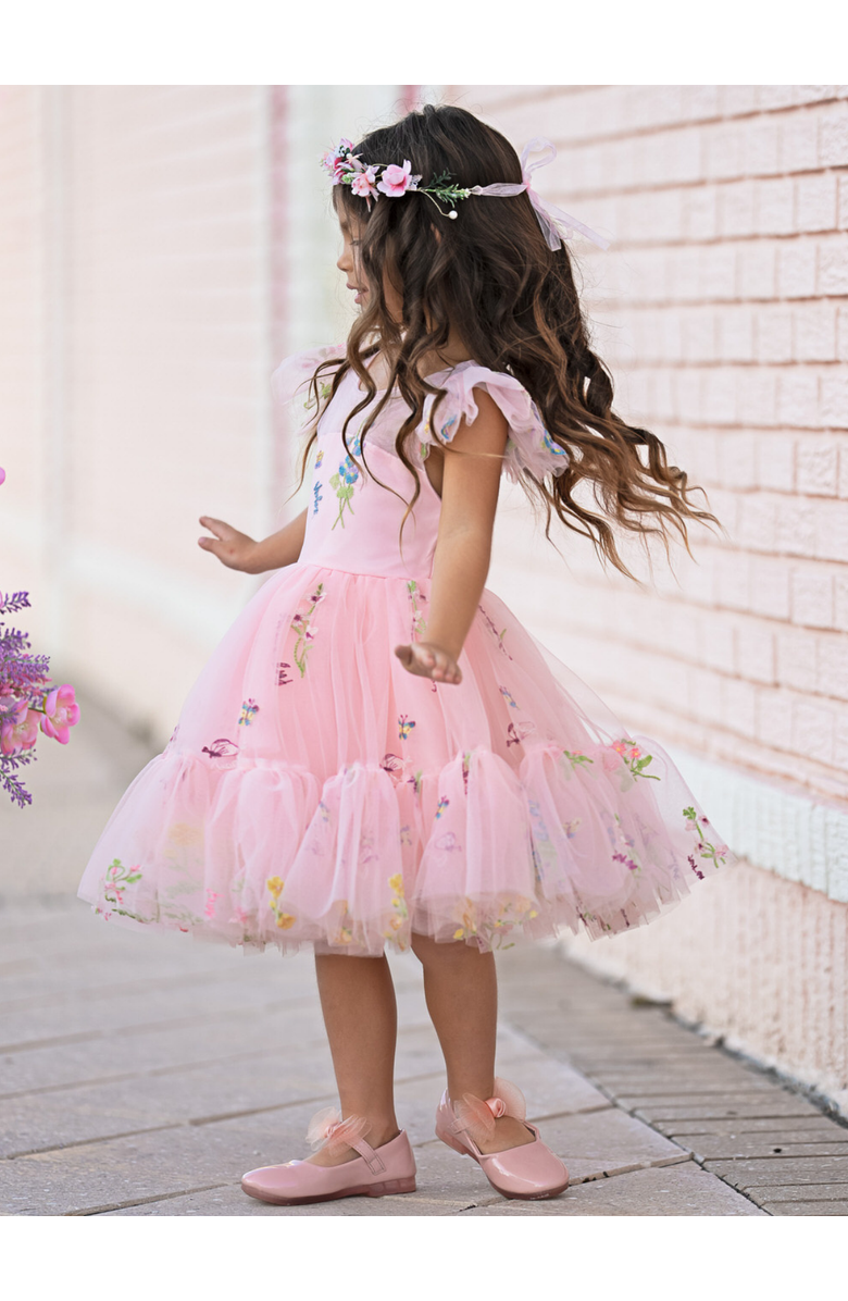 Mia Belle Girls Girls Blush Fairy Garden Embroidered Floral Tutu Dress, Alternate, color, Pink