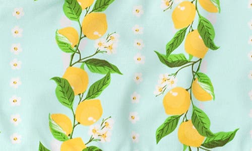 SHADE CRITTERS SHADE CRITTERS KIDS' CITRUS GROVE TWO-PIECE SWIMSUIT 