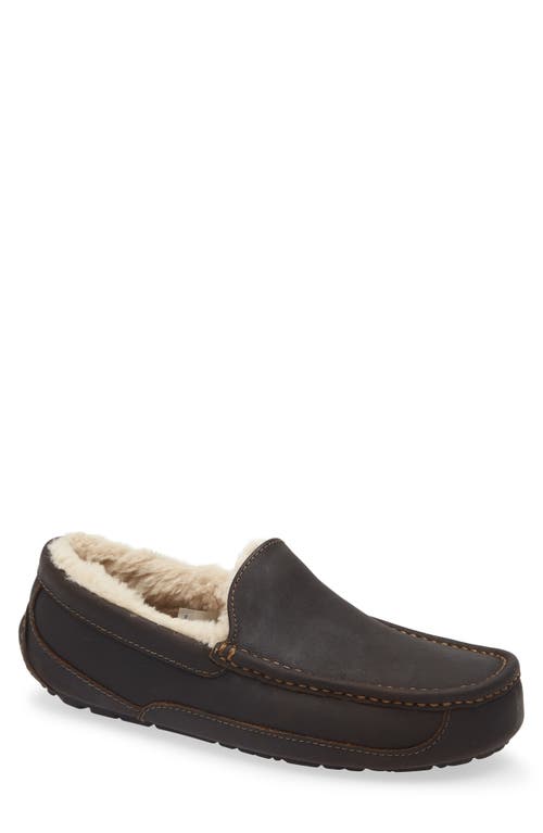 Ugg(r) Ascot Slipper In Brown