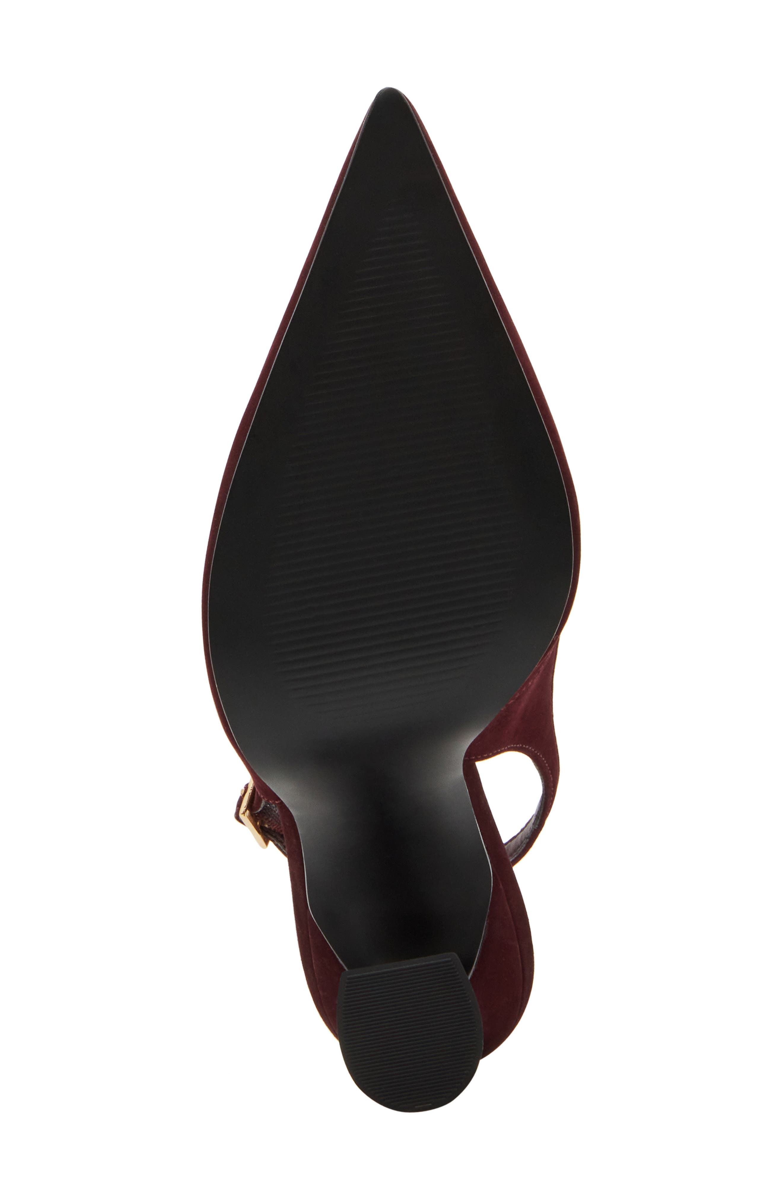 Blare Slingback Pointed Toe Pump, Alternate, color, BURGUNDY