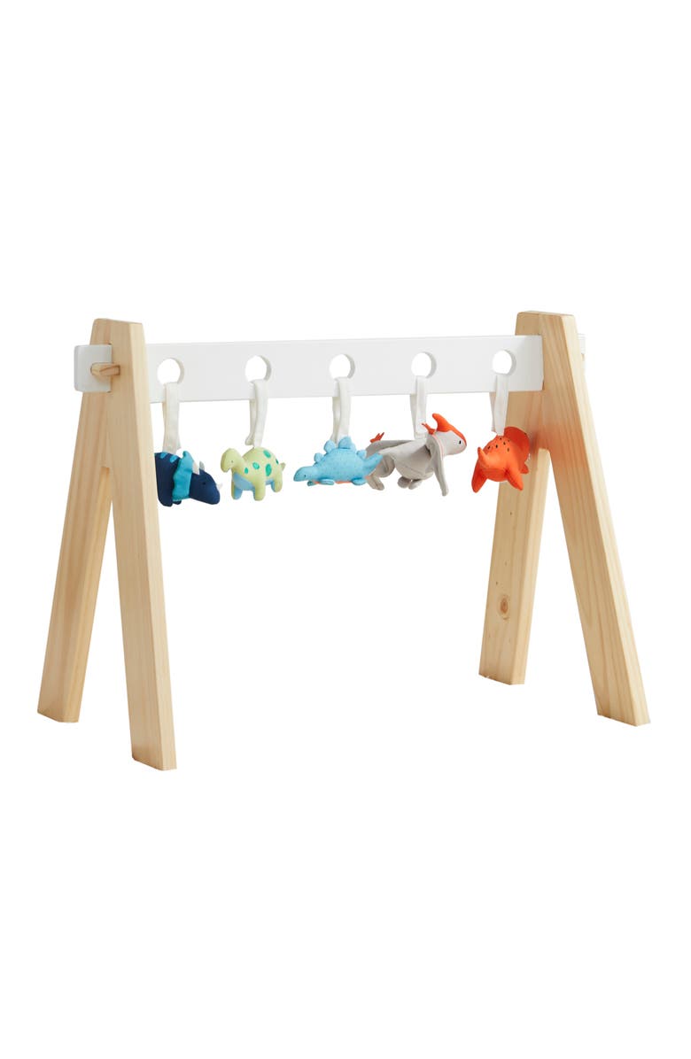 Wonder & Wise by Asweets WONDER AND WISE BY ASWEETS Dinosaur Baby Gym, Main, color, 