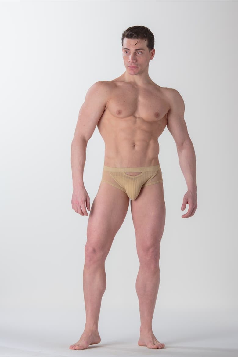 Personal Allure Mini Briefs, Alternate, color, Skin