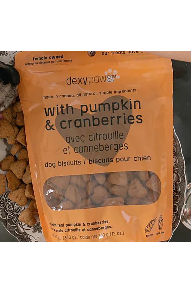 Dexypaws Pumpkin & Cranberry Dog Biscuits 12oz Natural Pet Treats, Alternate, color, Brown