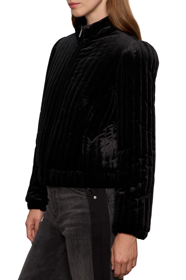 Quilted Velvet Jacket, Alternate, color, BLACK