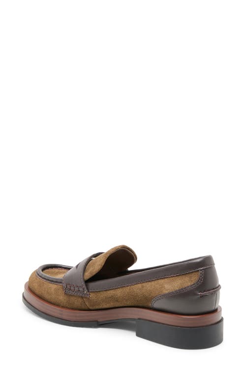 Dolce Vita Abey Penny Loafer In Brown