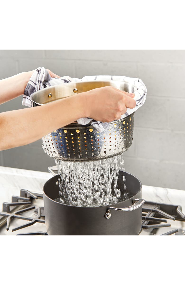 All-Clad Essentials Steam, Poach & Stew Nonstick 7-Quart Pot with Multipurpose Insert and Lid, Alternate, color, Black