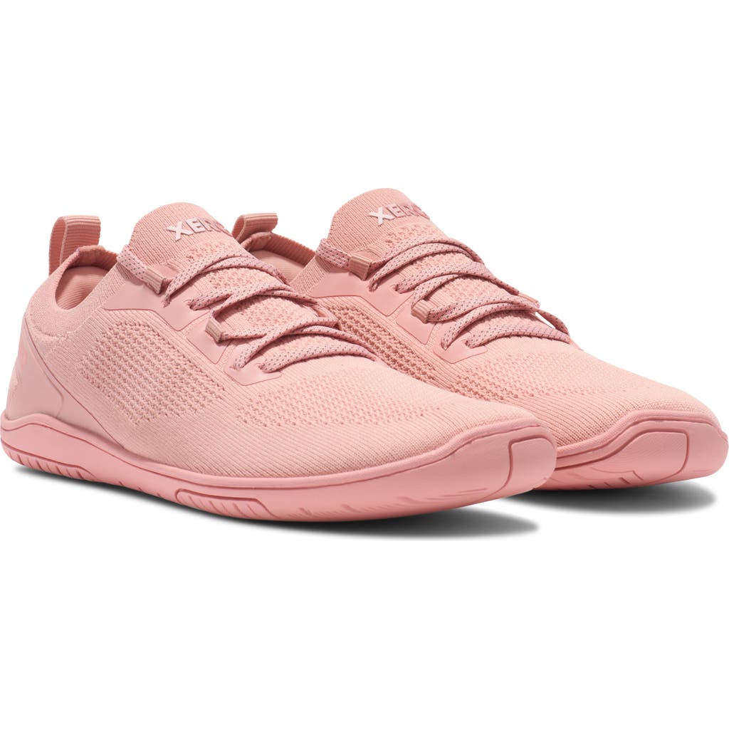 XERO SHOES Nexus Knit Sock Sneaker in Pink Sand  product