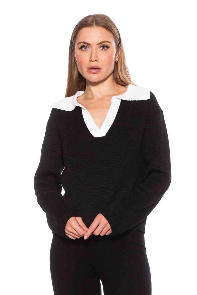 Evander Retro Collared Sweater, Alternate, color, BLACK