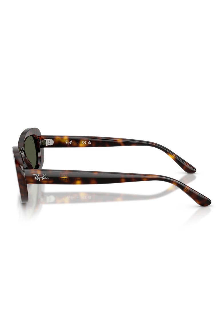 56mm Oval Sunglasses, Alternate, color, HAVANA