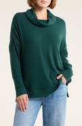 Caslon® Cowl Neck Long Sleeve Tunic Top