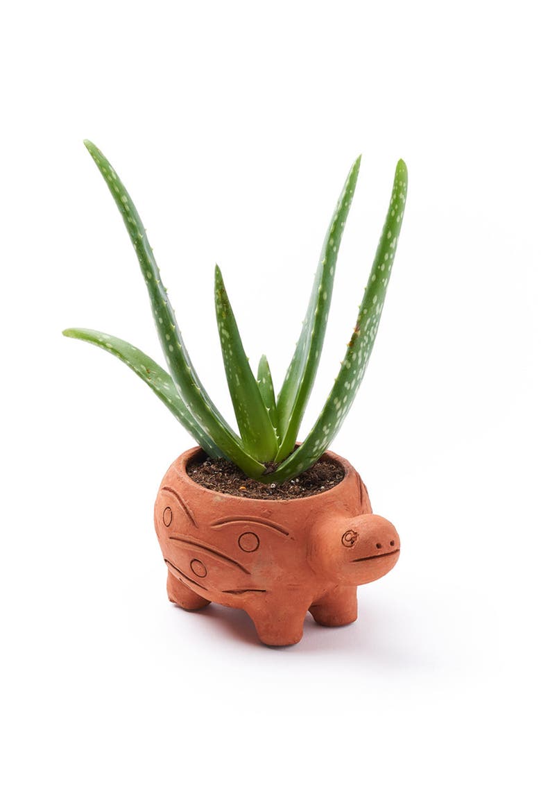 Rakshana Plant Pot, Main, color, Turtle
