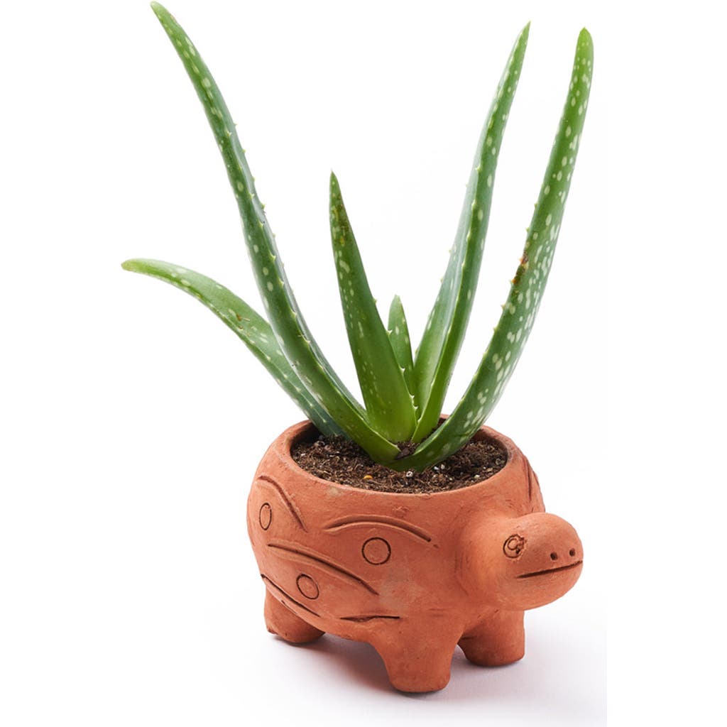 Matr Boomie Rakshana Plant Pot In Multi