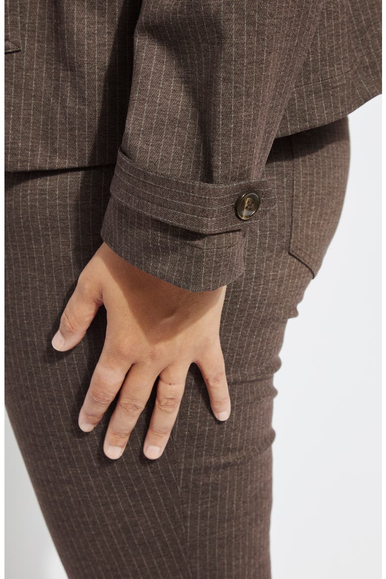 Thora Hairline Striped Cropped Double Breasted Ponte Blazer, Alternate, color, HAIRLINE STRIPE