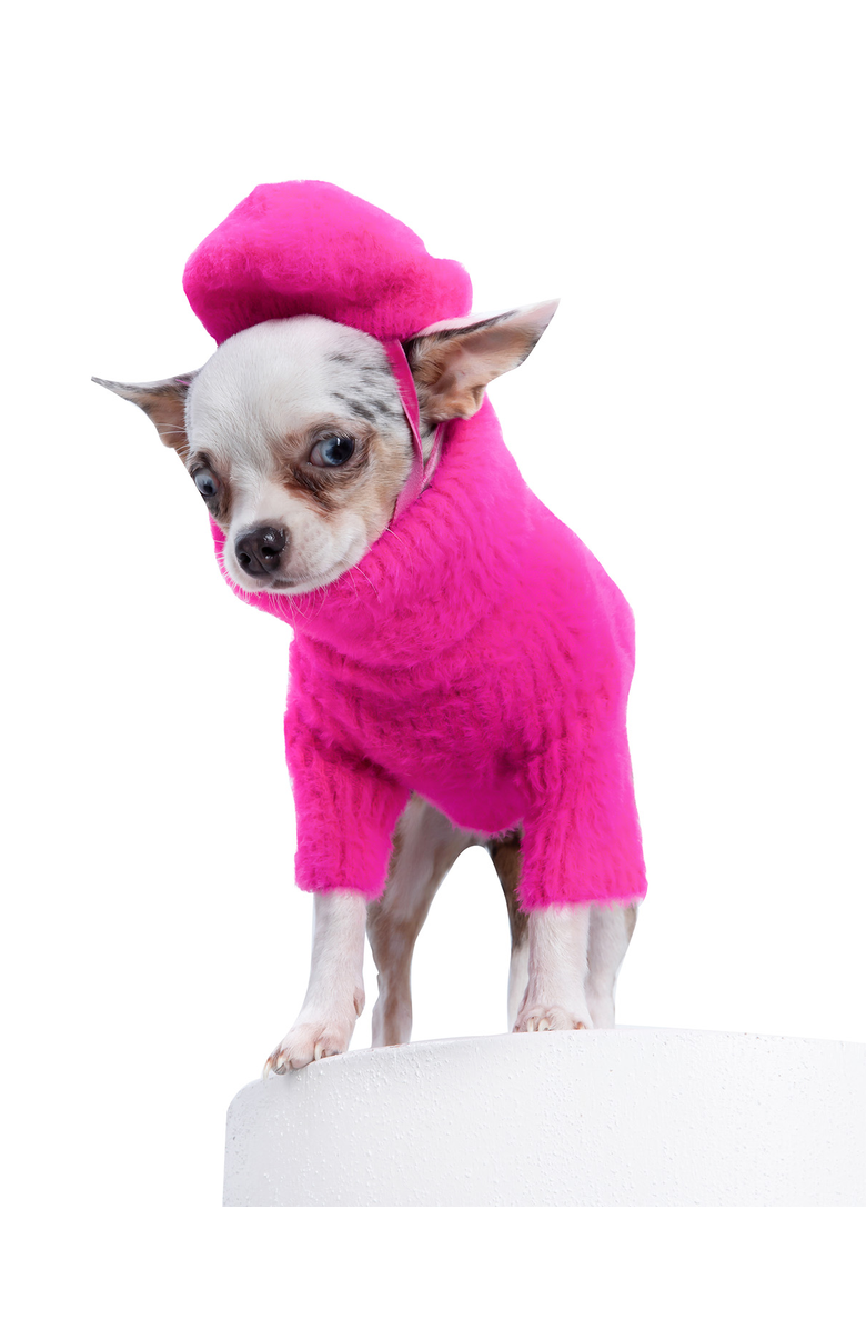 Moshiqa Paris Dog Sweater & Hat, Alternate, color, Pink