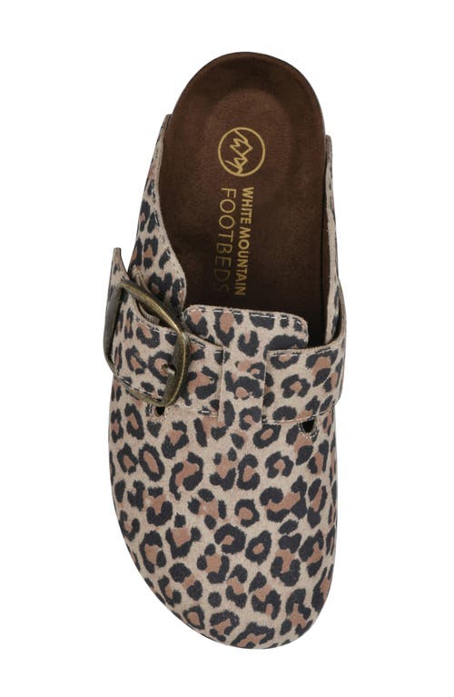 Cliffs By White Mountain Big Easy Buckle Mule In Multi