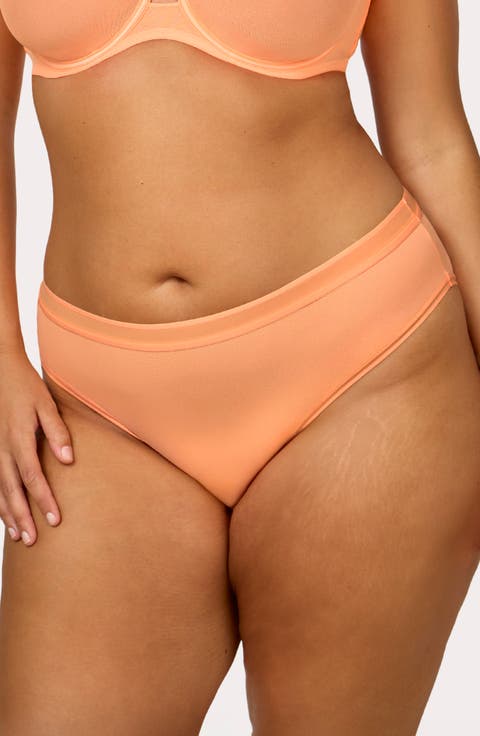 Sheer Mesh High Cut Briefs (Regular & Plus Size)