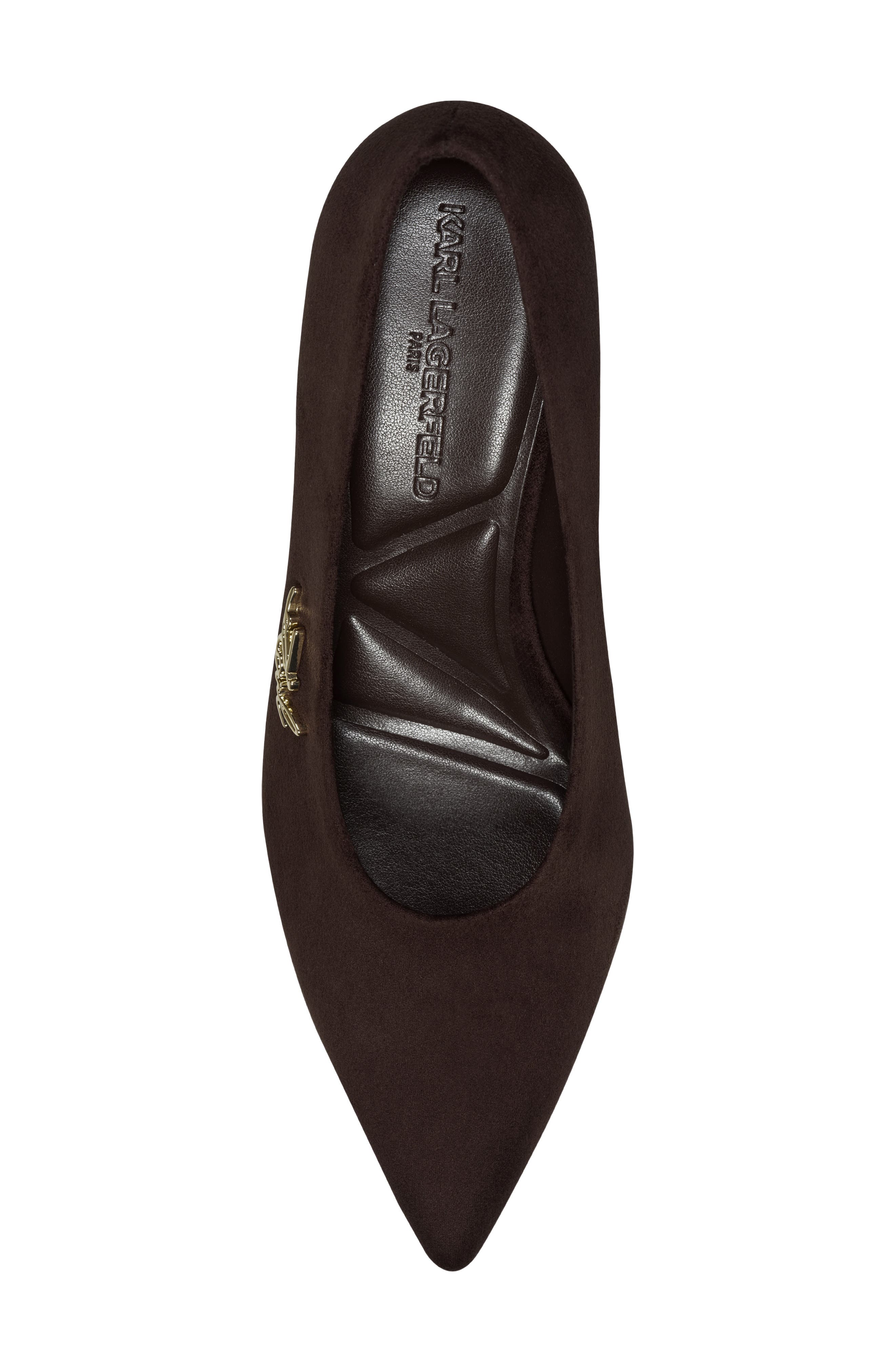Lazuli Pointed Toe Pump, Alternate, color, CANYON BROWN