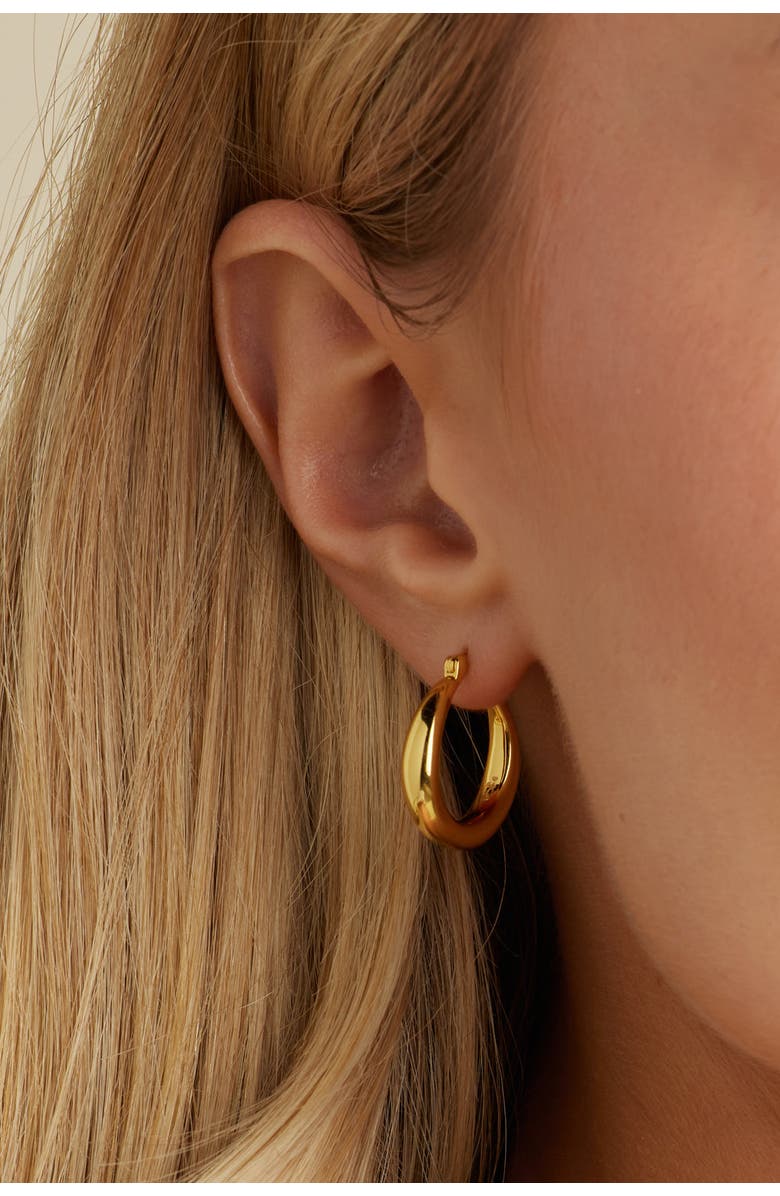 Untamed Petals Nadia Classic Gold Hoops, Alternate, color, Gold