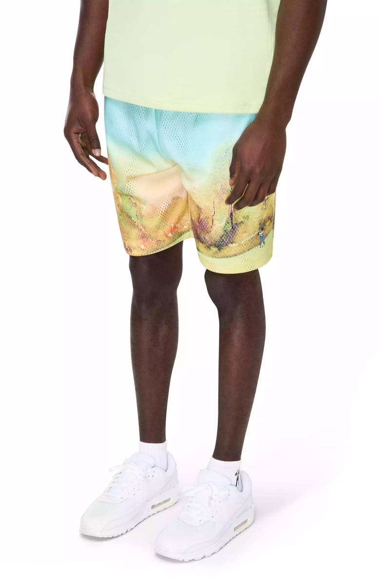 Eastside Golf Paradise Walk On Mesh Shorts, Alternate, color, 