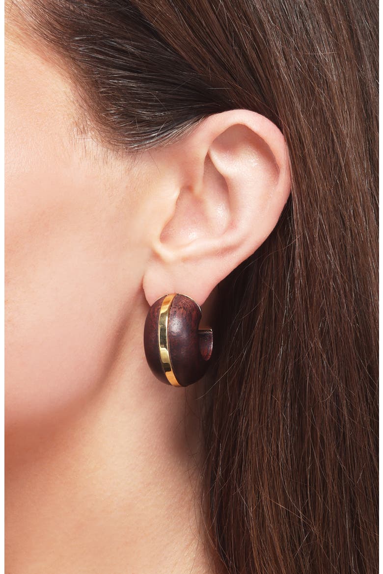 Halo Acacia Wood Hoop Earrings, Alternate, color, BROWN