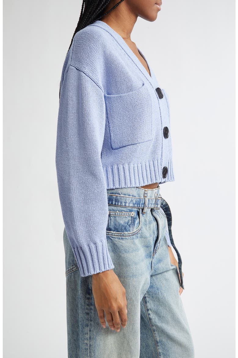 Sofia Oversize Crop Cardigan, Alternate, color, PALE BLUE