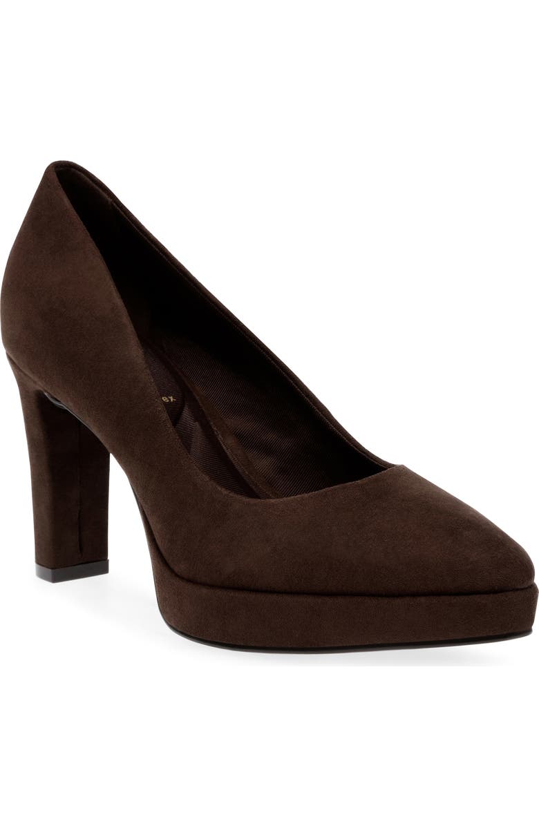 Anne Klein Jael Platform Pump, Main, color, Dk Brown Ms