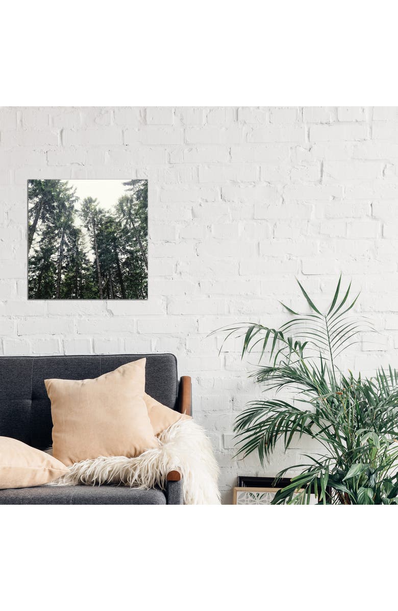 iCanvas Up In The Woods by Tordis Kayma Canvas Wall Art, Alternate, color, Green