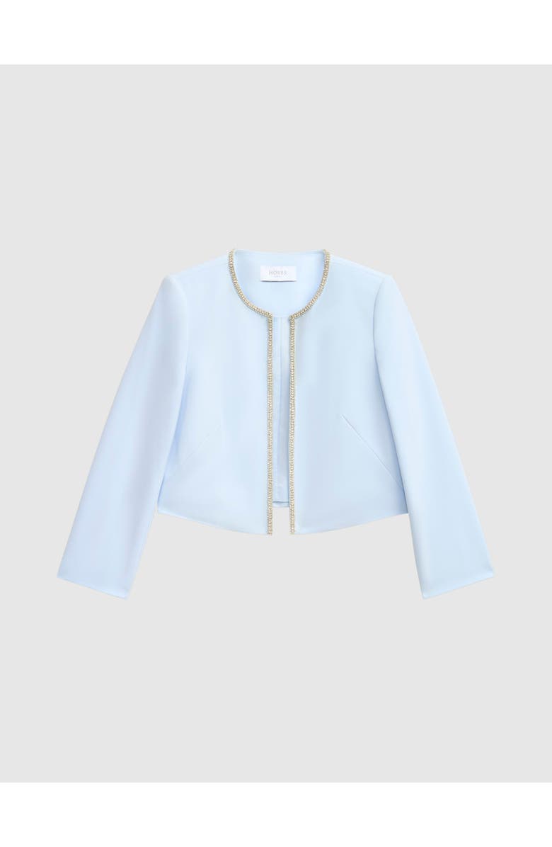 HOBBS LONDON Beatrix Embellished Jacket, Alternate, color, Pale Blue