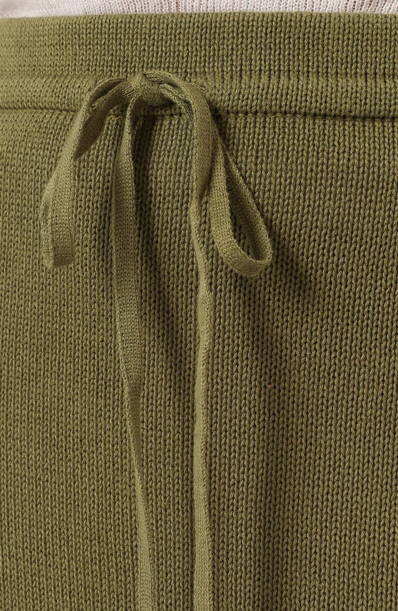 Petal & Pup Rooney Knit Maxi Skirt, Alternate, color, Olive