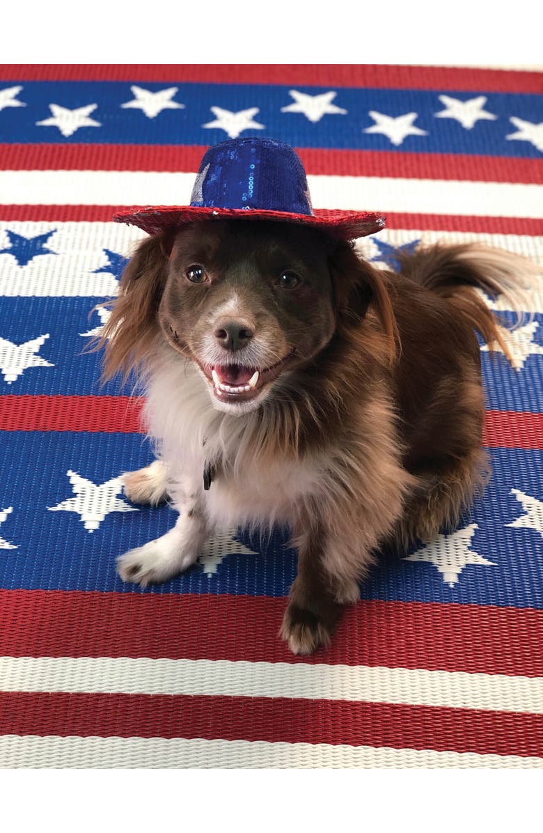 Mad Mats Cheers Red White & Blue Rug, Alternate, color, 6'X9'