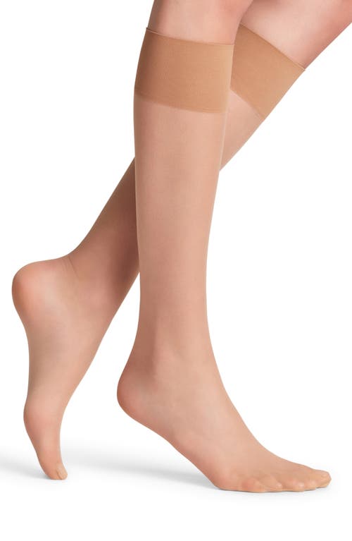 Falke Pure Matte 20 Denier Knee High Socks In Multi