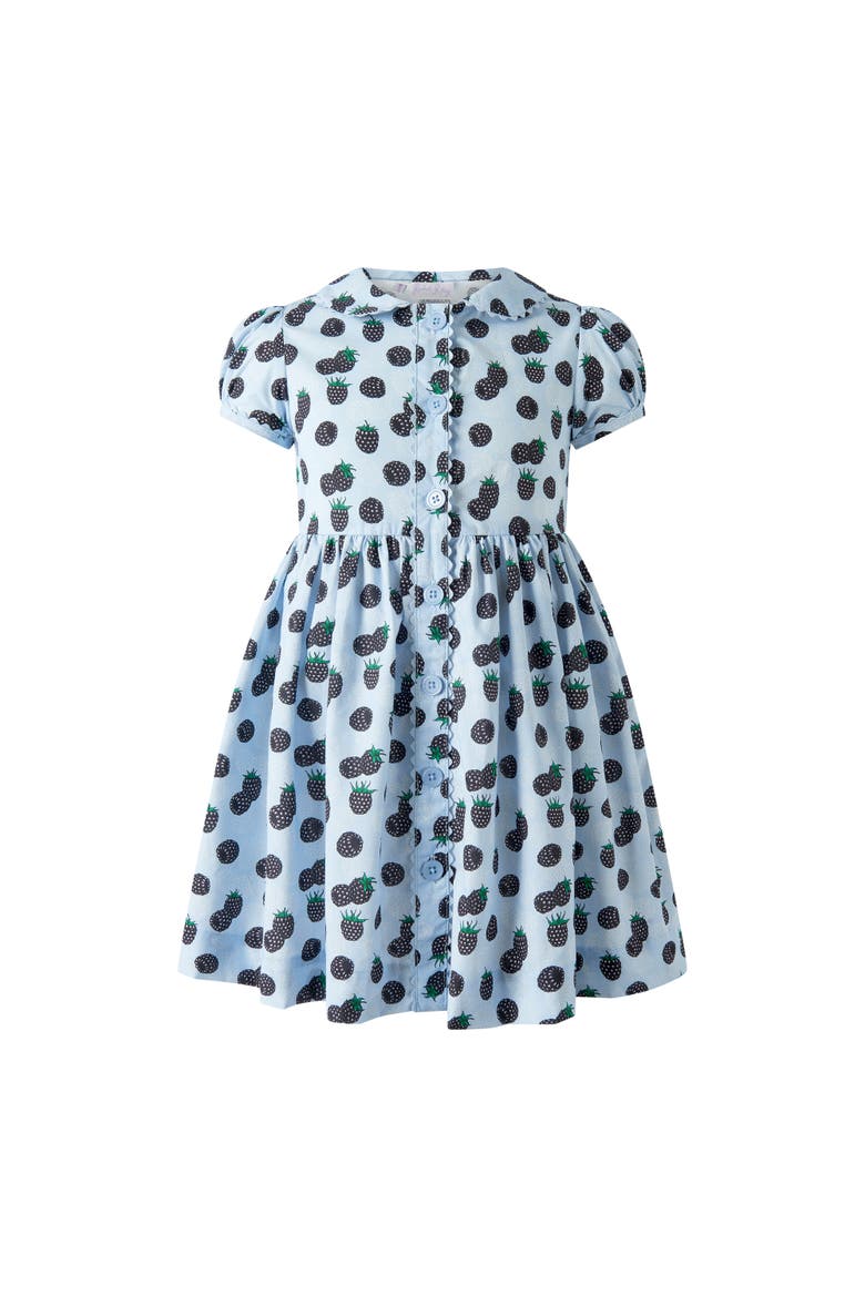 Blackberry Button-Front Dress, Main, color, Blue