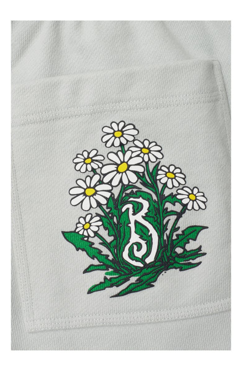 Burberry Daisy B Cotton Shorts, Alternate, color, 