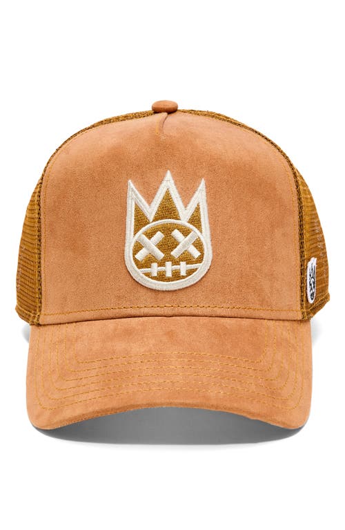 Cult Of Individuality Shimuchan Logo Mesh Back Baseball Cap In Brown
