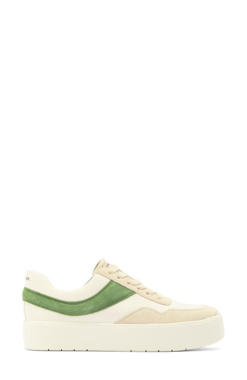 Vince Benfield Sneaker In Palmleaf
