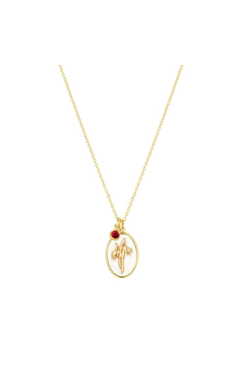 Set & Stones Katrina Birth Flower and Birthstone Charm Necklace, Main, color, Gold / January