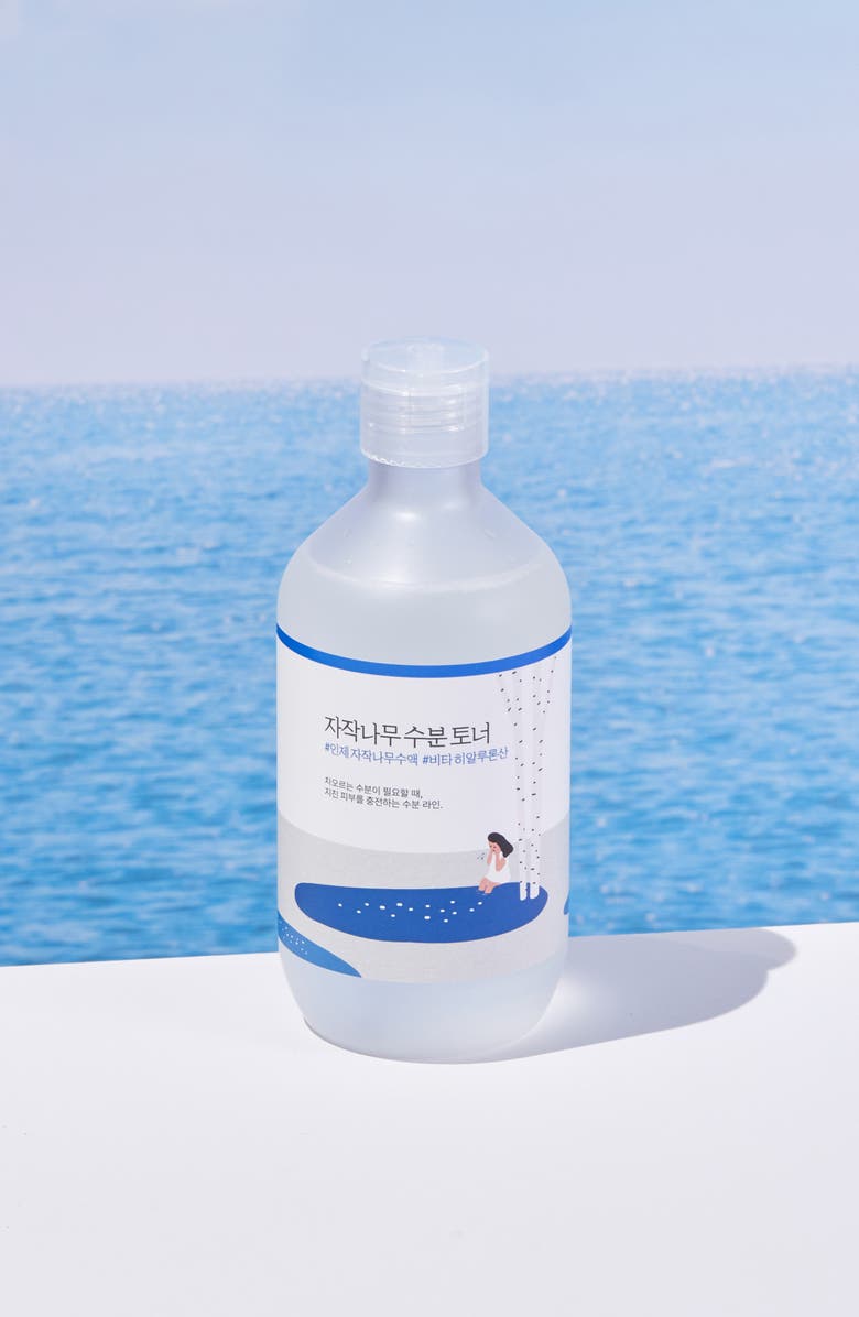 ROUND LAB Birch Juice Moisturizing Toner, Alternate, color, 