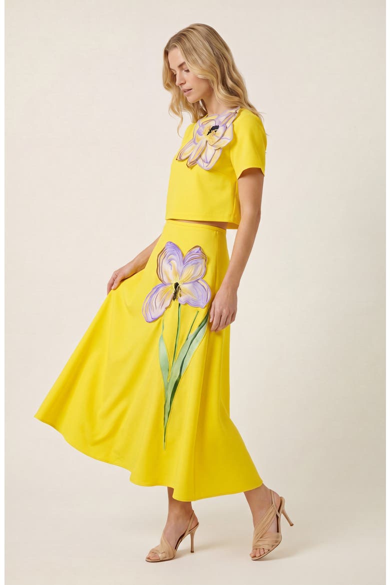 Summer Embroidered Two Piece Set, Alternate, color, Yellow