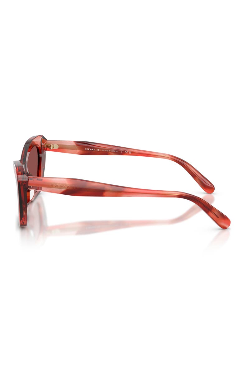 54mm Cat Eye Sunglasses, Alternate, color, CHERRY TORTOISE / WINE SOLID