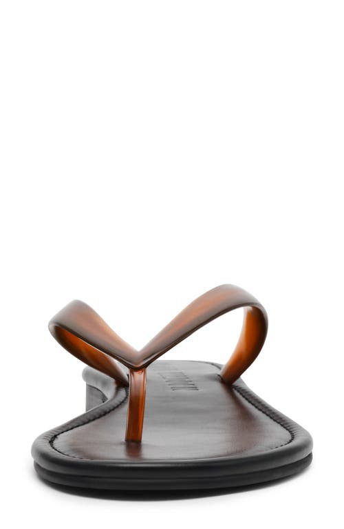 Steve Madden Seasalt Flip Flop In Brown